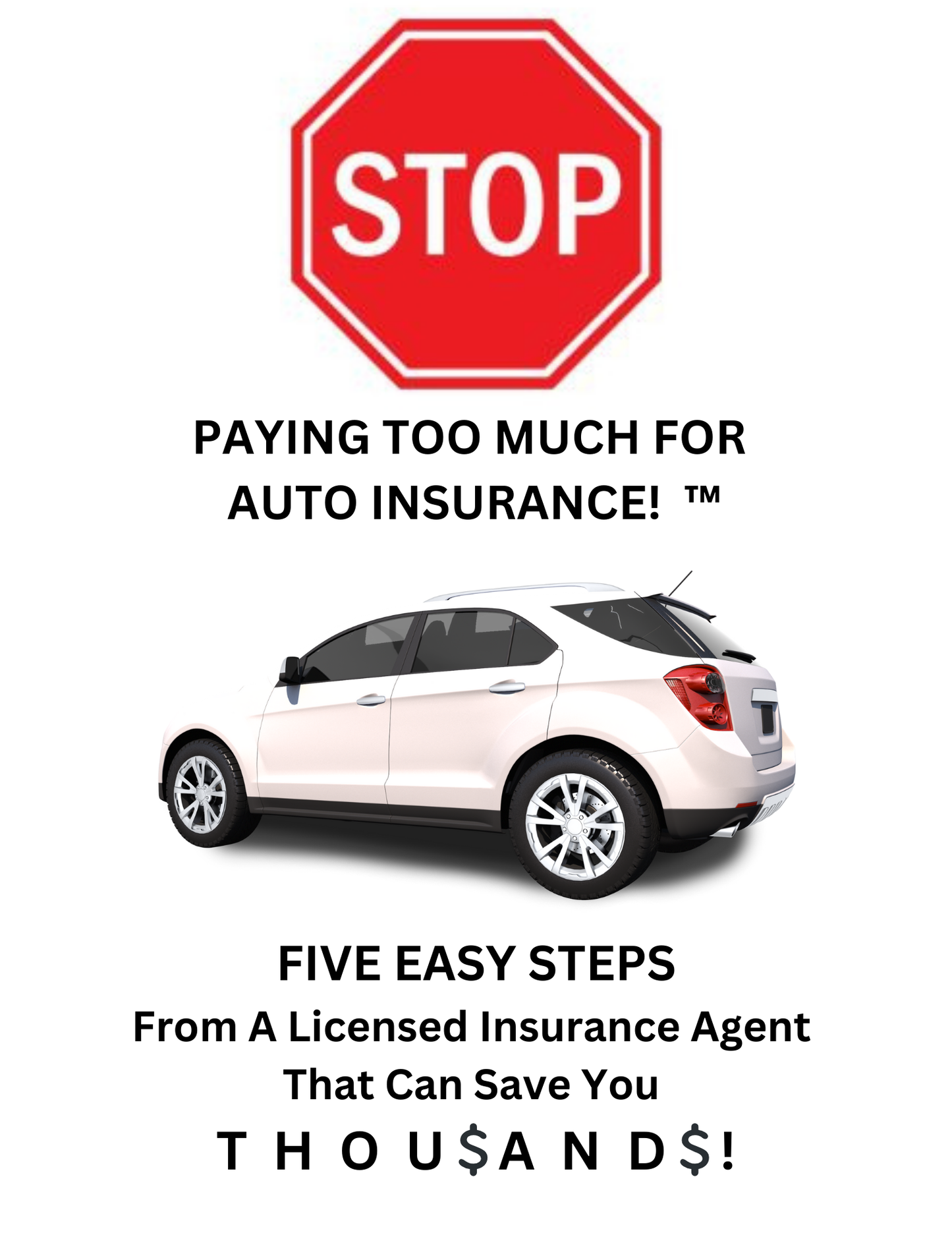 Save Money on Auto Insurance Instruction Book ™